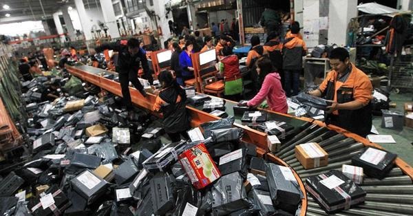 分拣.jpg 分拣.jpg